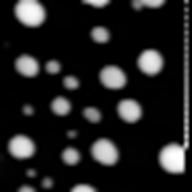 STEM HAADF Detector