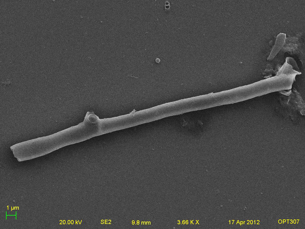 Water Bottle Refill Station Diatom