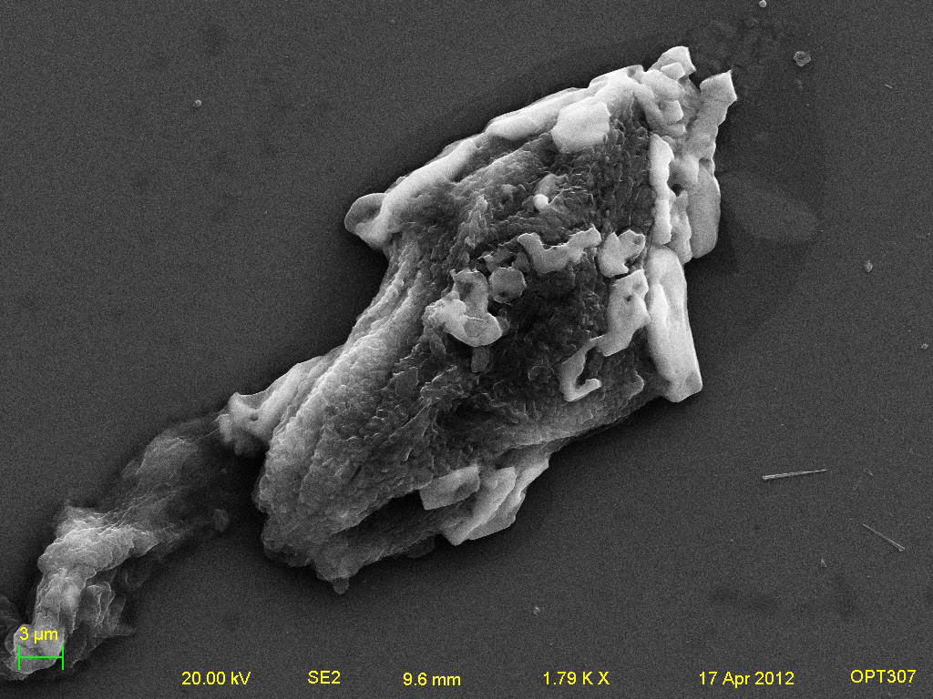 Melted Ice Grains