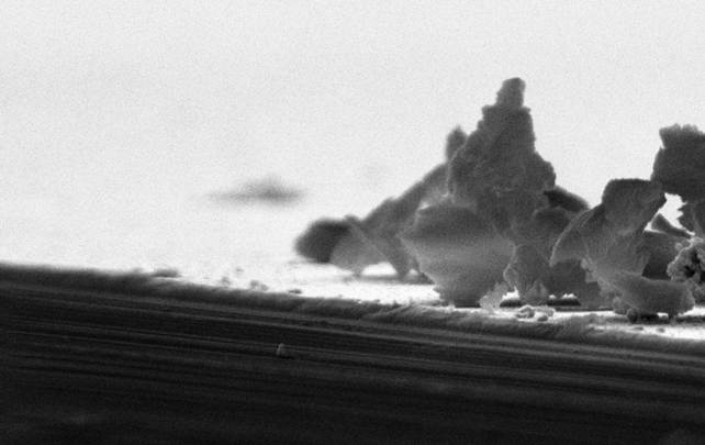 Description: D:\project pictures\4poster_SEM\surface_cropped.tif