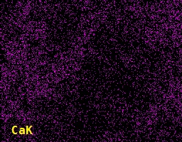 Diatom Type 2CaK
