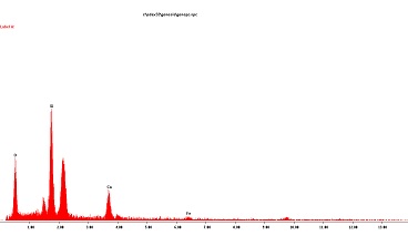Diatom type 2 X-Ray spectra