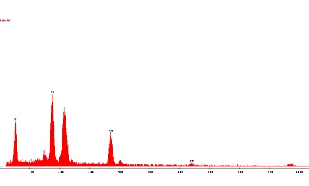 x-ray spectra diatom 1