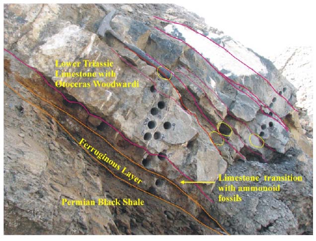 cross section