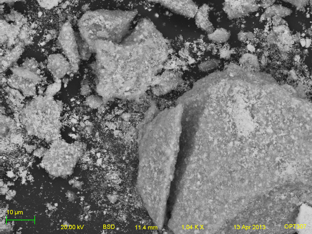Backscatter electron micrograph of Unicer 166 1kx
