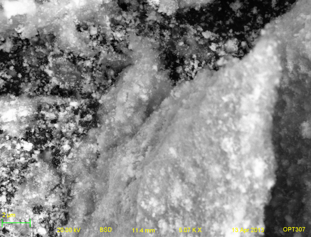 Backscatter electron micrograph of A001-1B 5kx