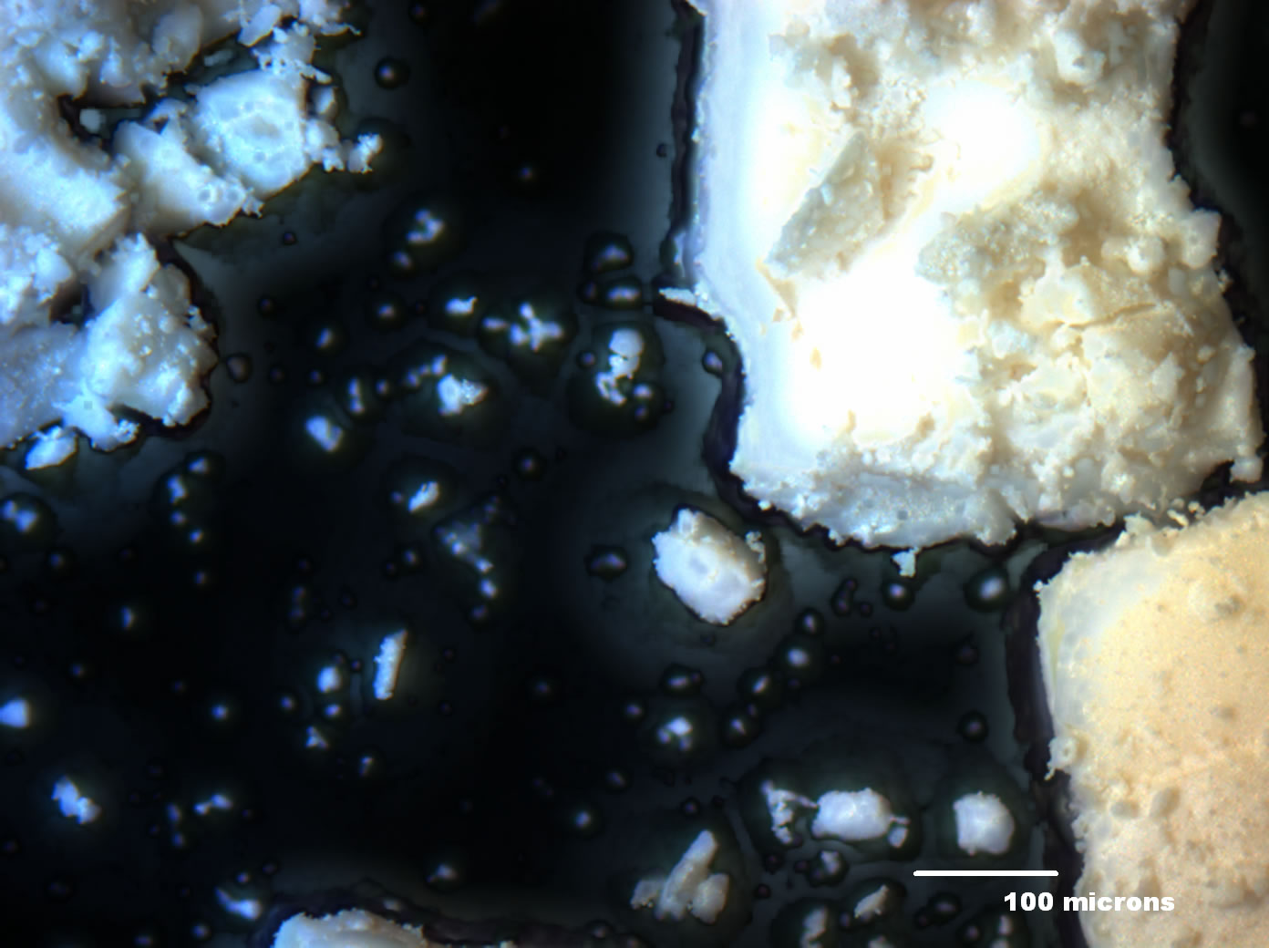 Optical micrograph of A001-1B 100x