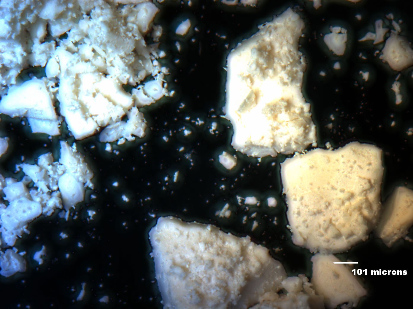 Optical micrograph of A001-1B 50x