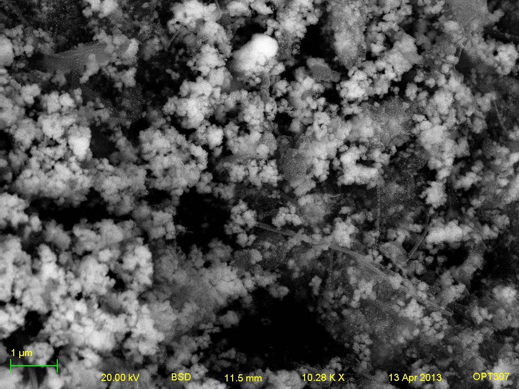 Backscatter electron micrograph of A001-1D 10kx