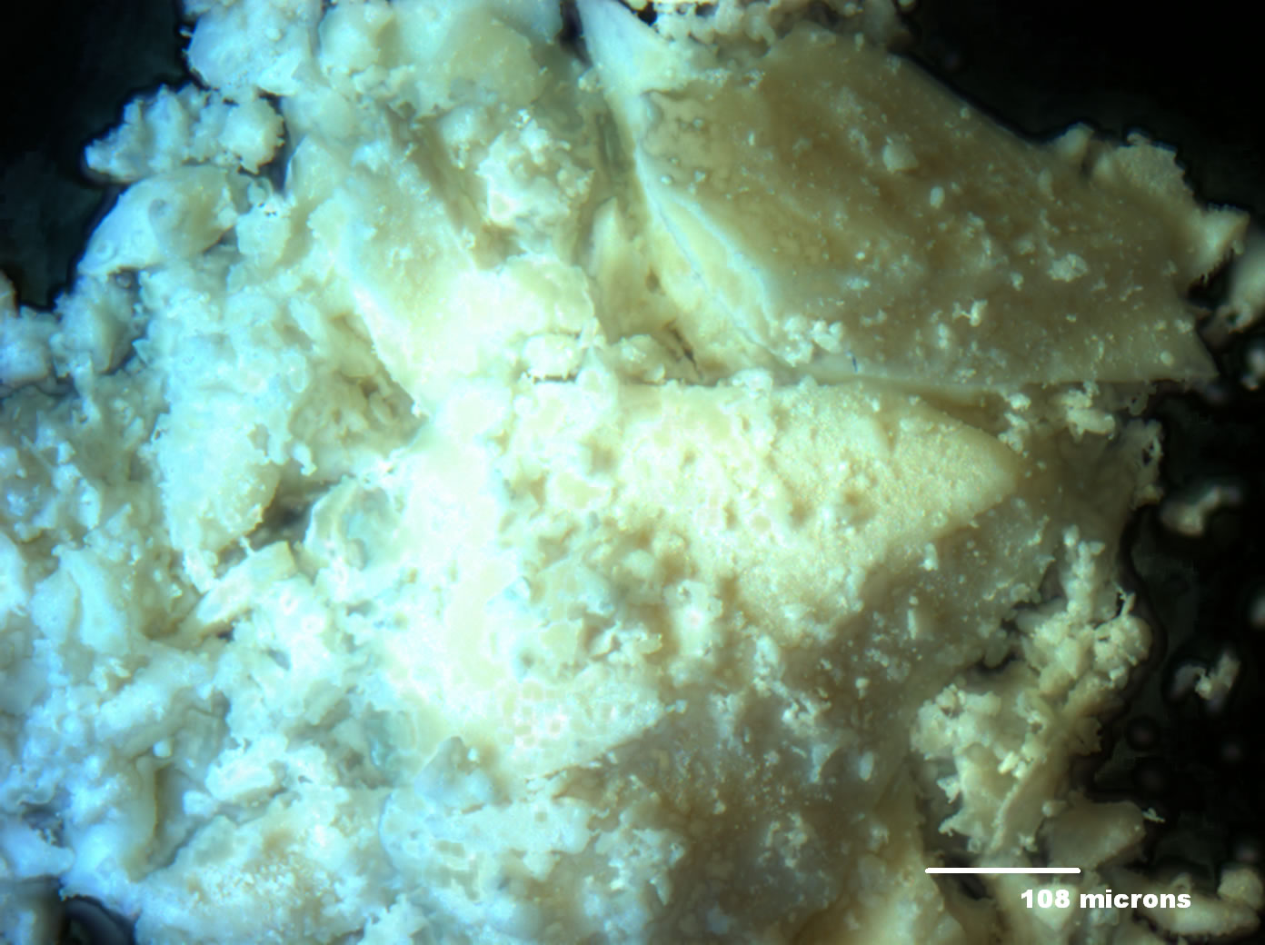 Optical micrograph of A001-1D 100x