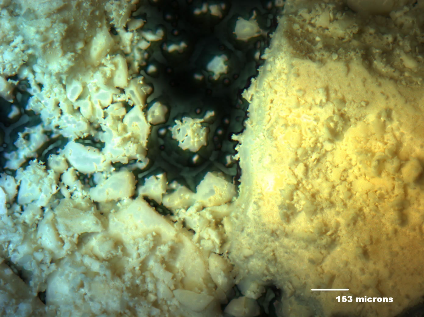 Optical micrograph of A001-1D 50x