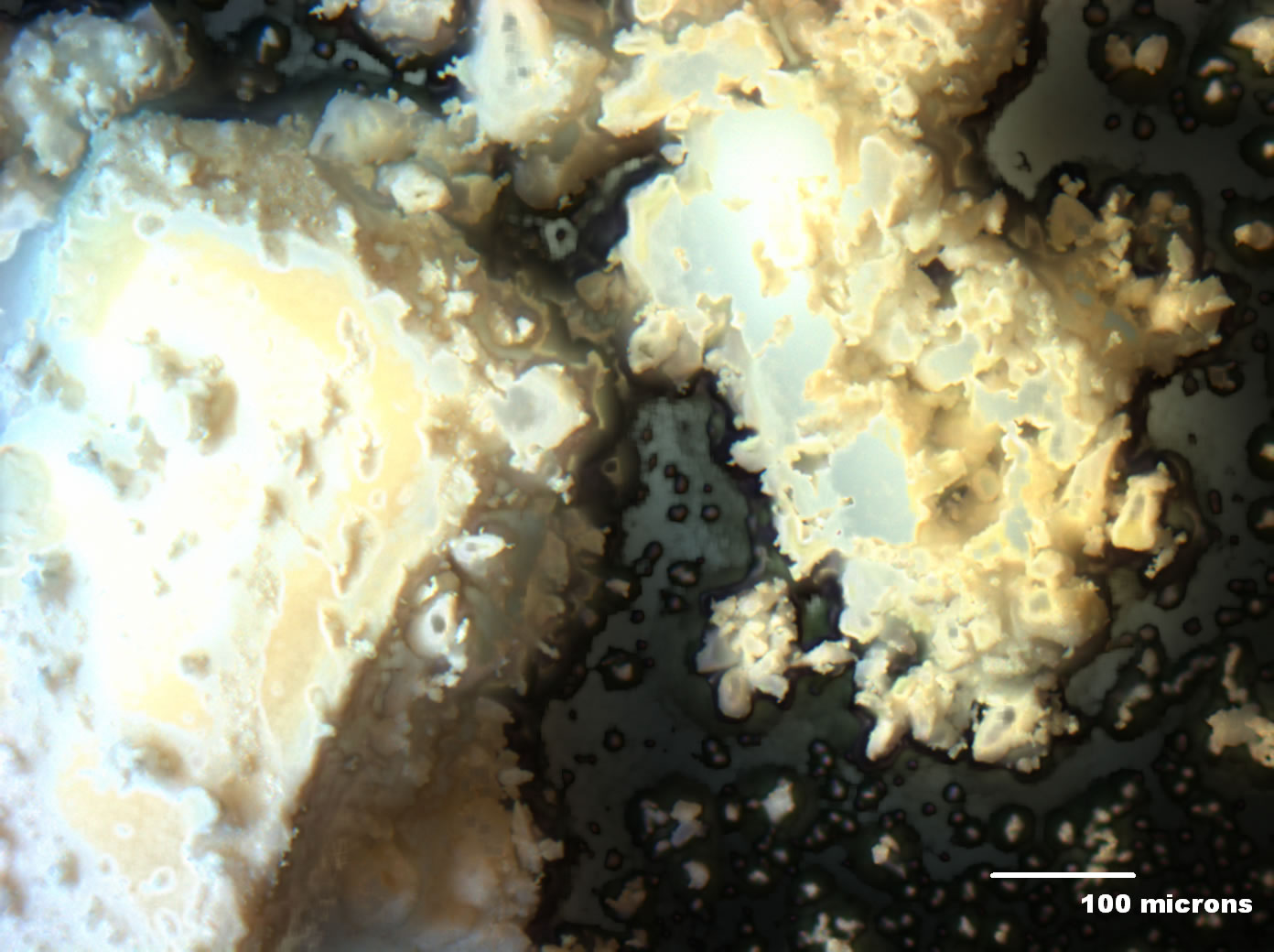 Optical micrograph of A001-1