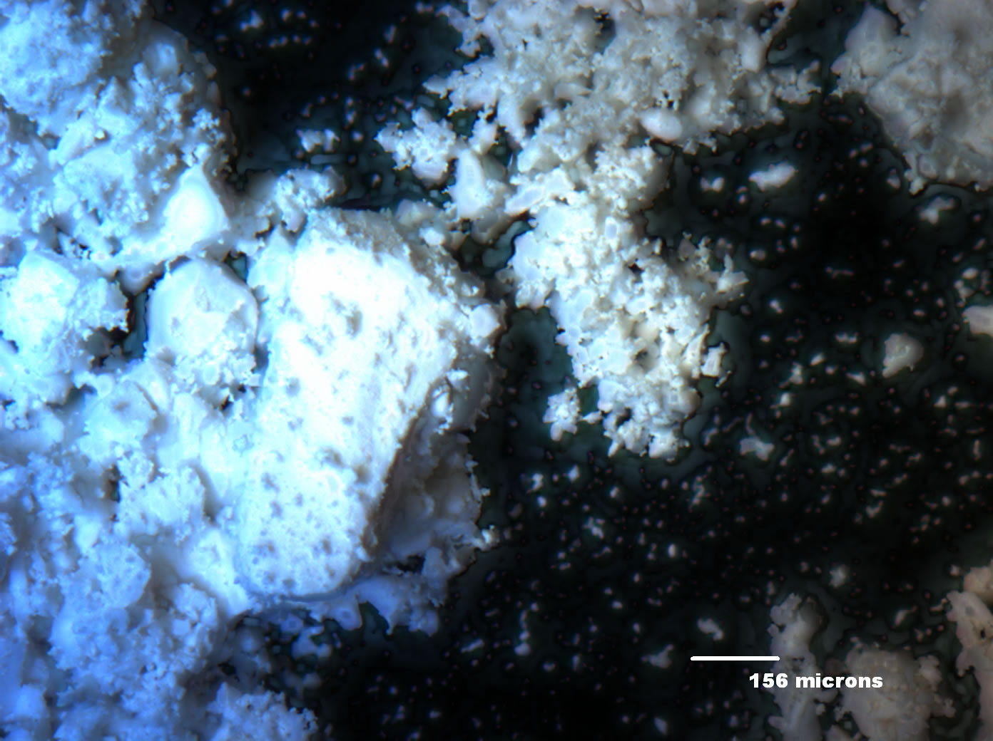 Optical microgrph of A001-1 50x