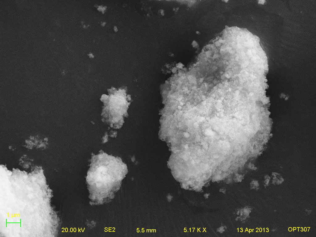 Secondary electron micrograph of A001-1 5kx