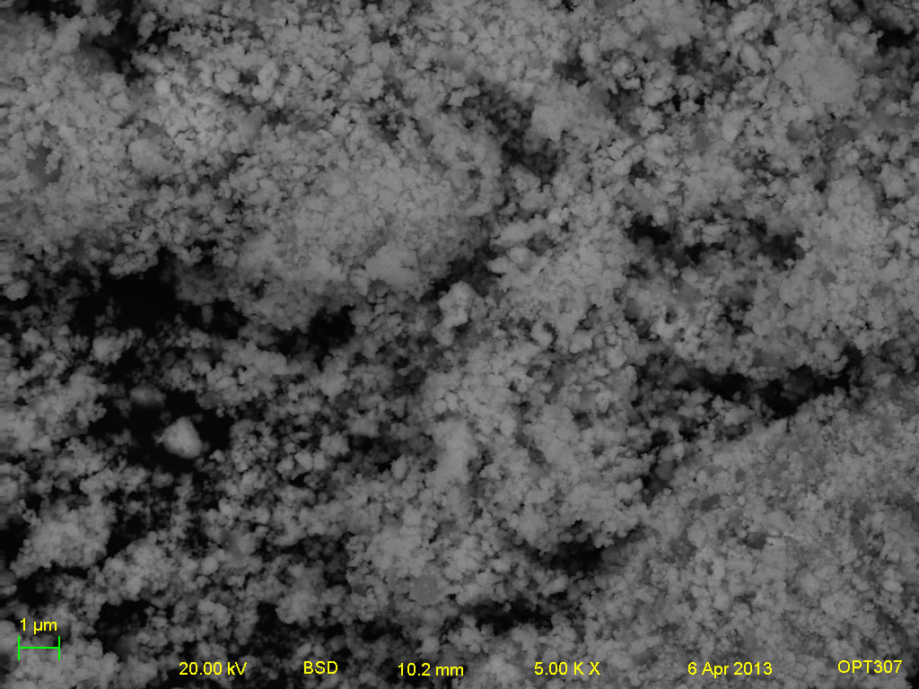 Backscatter electron micrograph of A001-6A 10kx