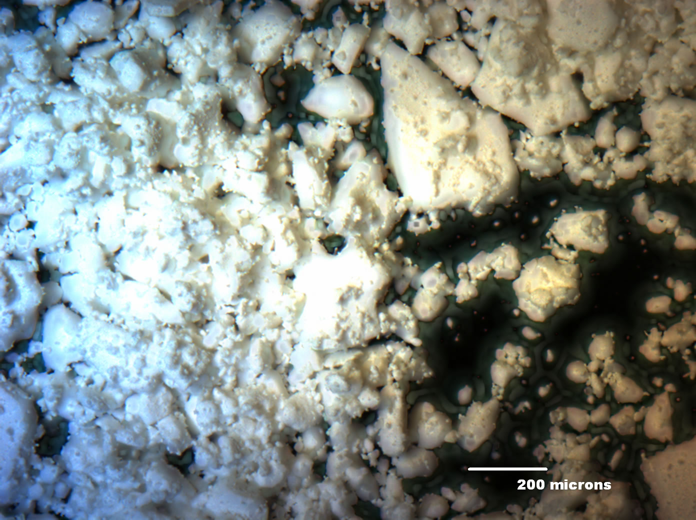 Optical micrograph of A001-6A 50x