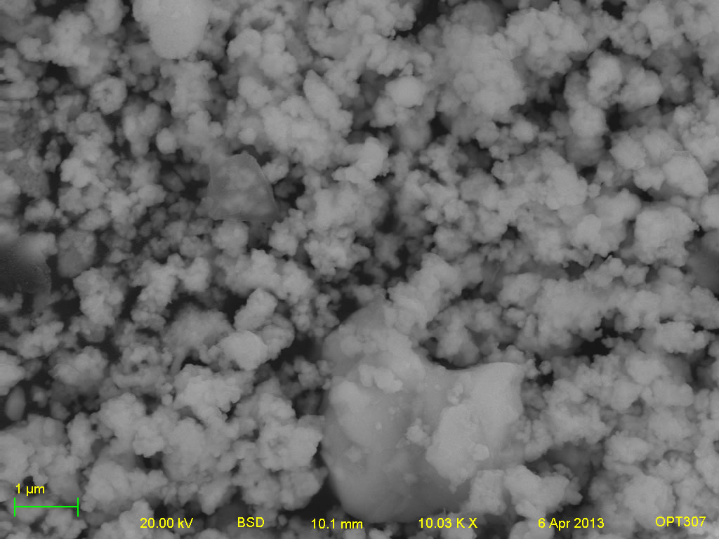 Backscatter electron micrograph of ECHO-SR6 10kx