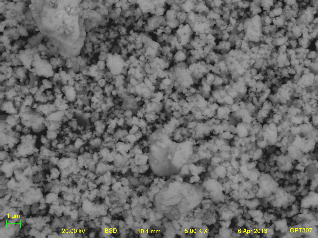 Backscatter electron micrograph of ECHO-SR6 5kx