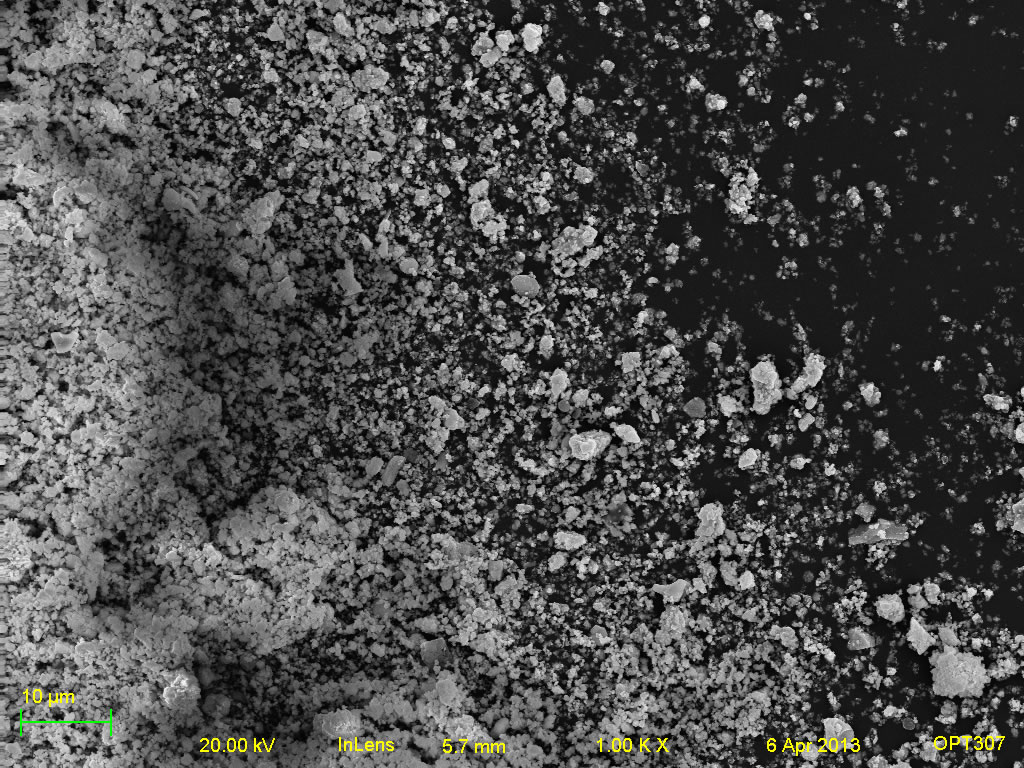 Secondary electron micrograph of ECHO-SR6 1kx