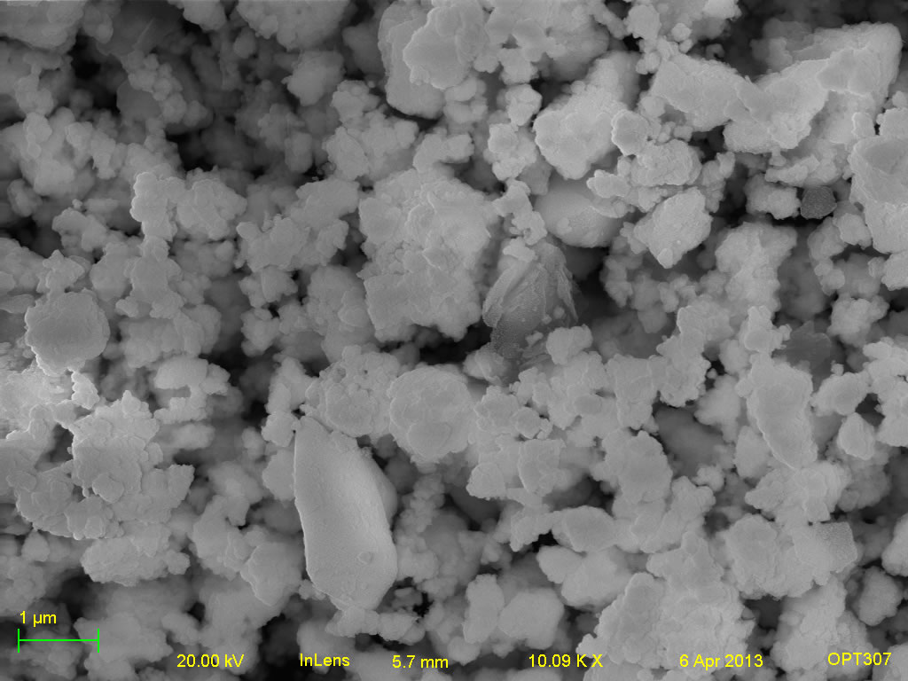 Secondary electron micrograph of ECHO-SR6 10kx