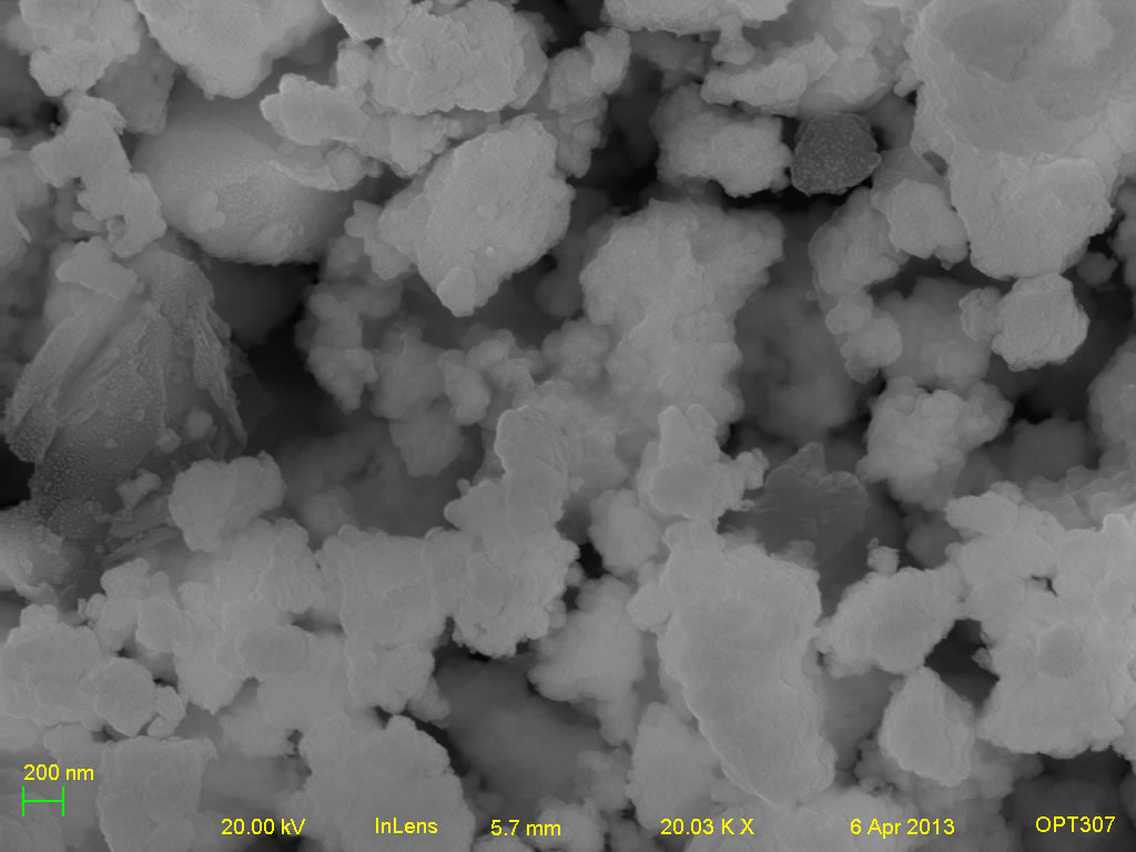 Secondary electron micrograph of ECHO-SR6 20kx