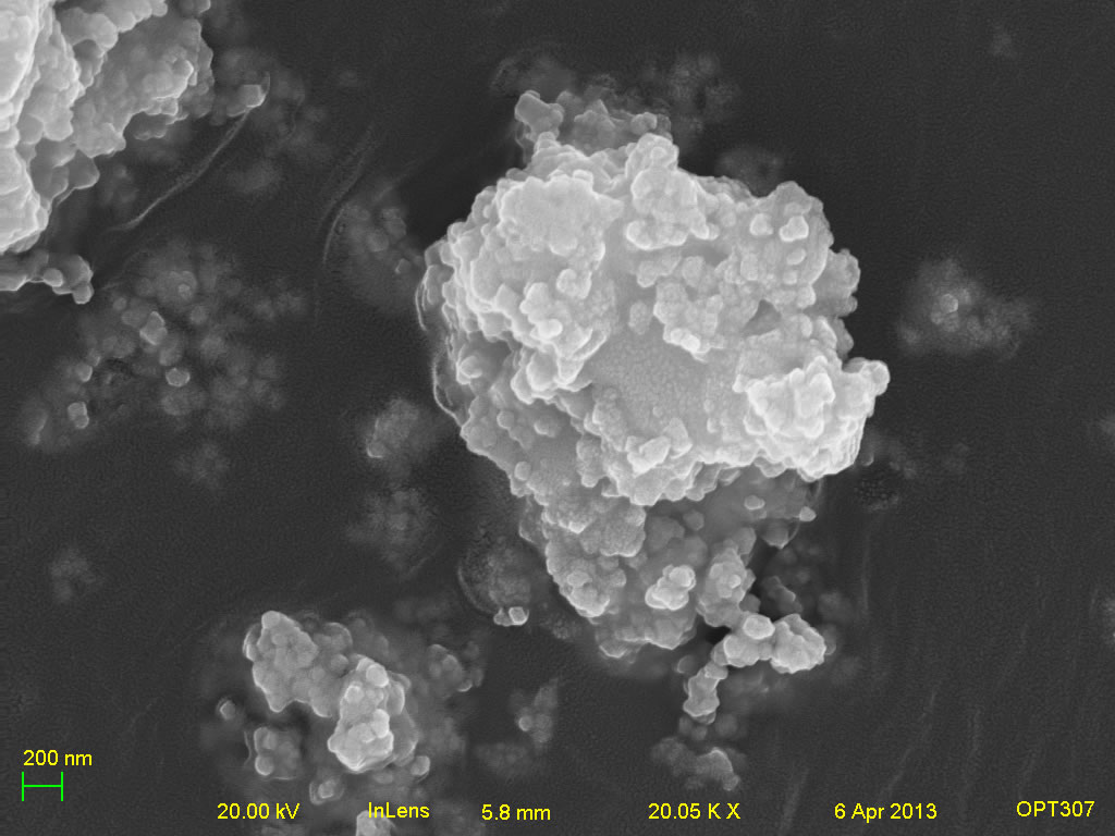 Secondary electron micrograph of Unicer 166 20kx