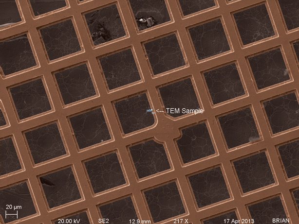 Selected Area