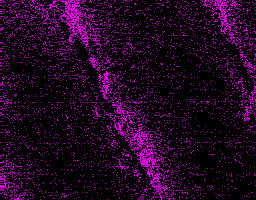 Carbon