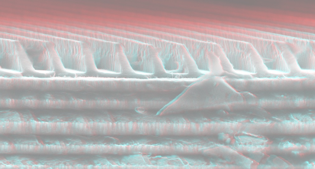 stereo pair