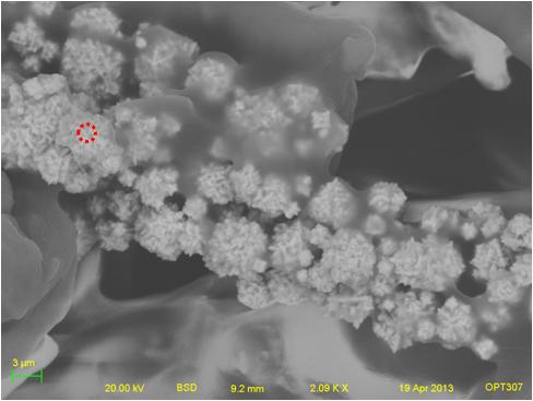 EDS single particle sample
