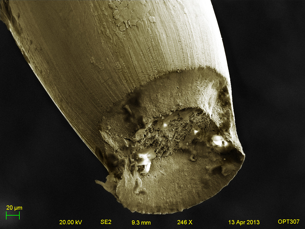 ductile