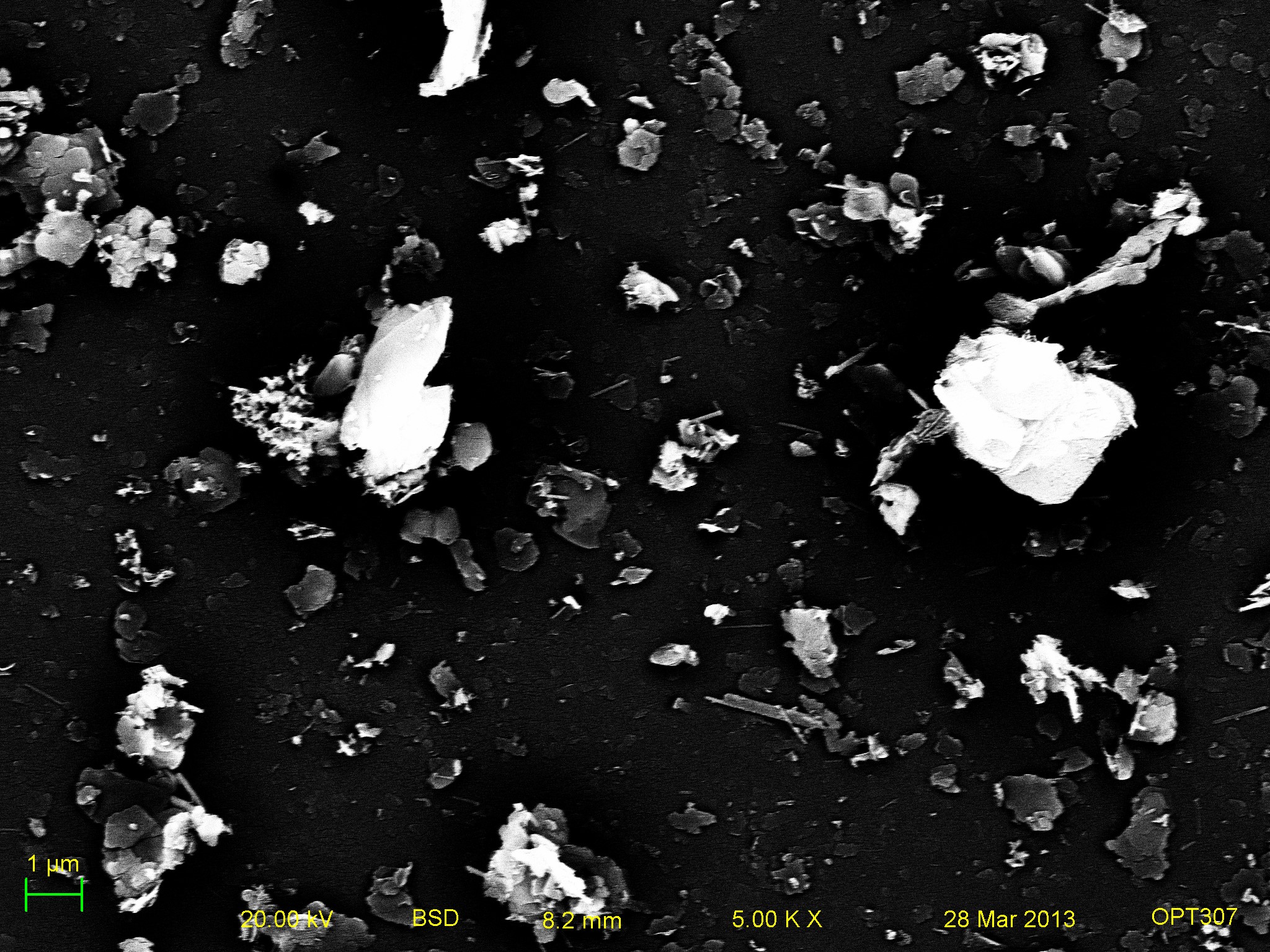 coal sem