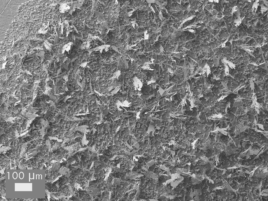 Ni-Sn deposition with surfactant, 4 mA/cm2