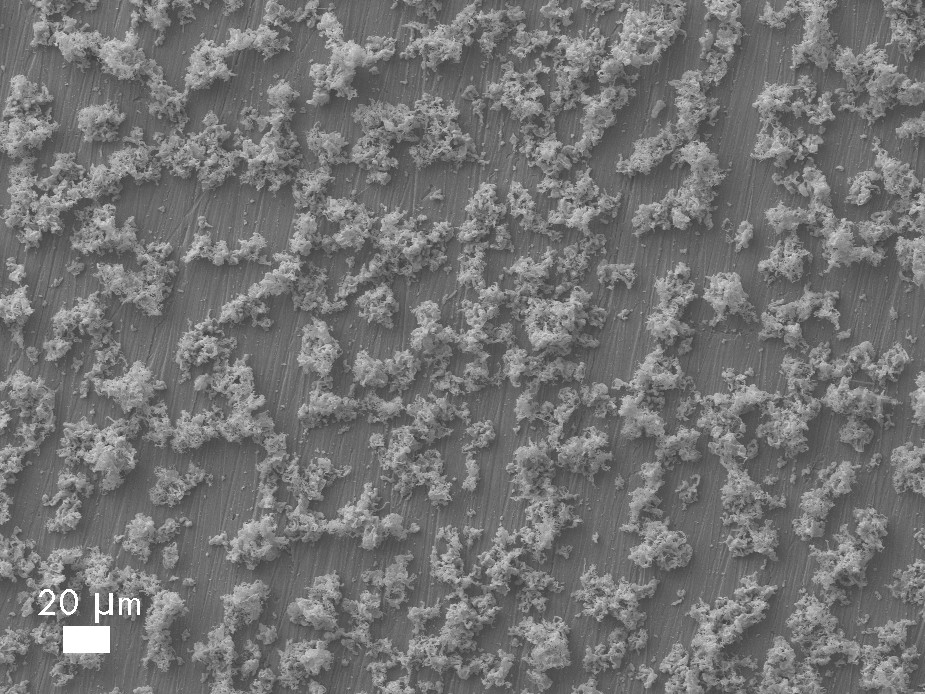 Ni-Sn deposition, 4 mA/cm2