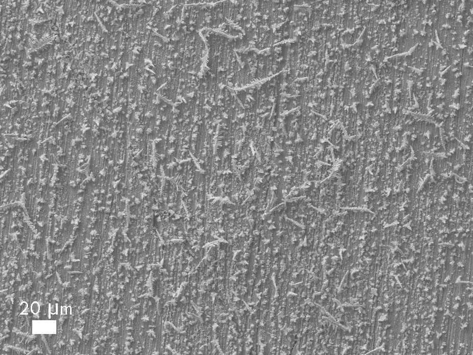 Ni-Sn deposition, 20 mA/cm2