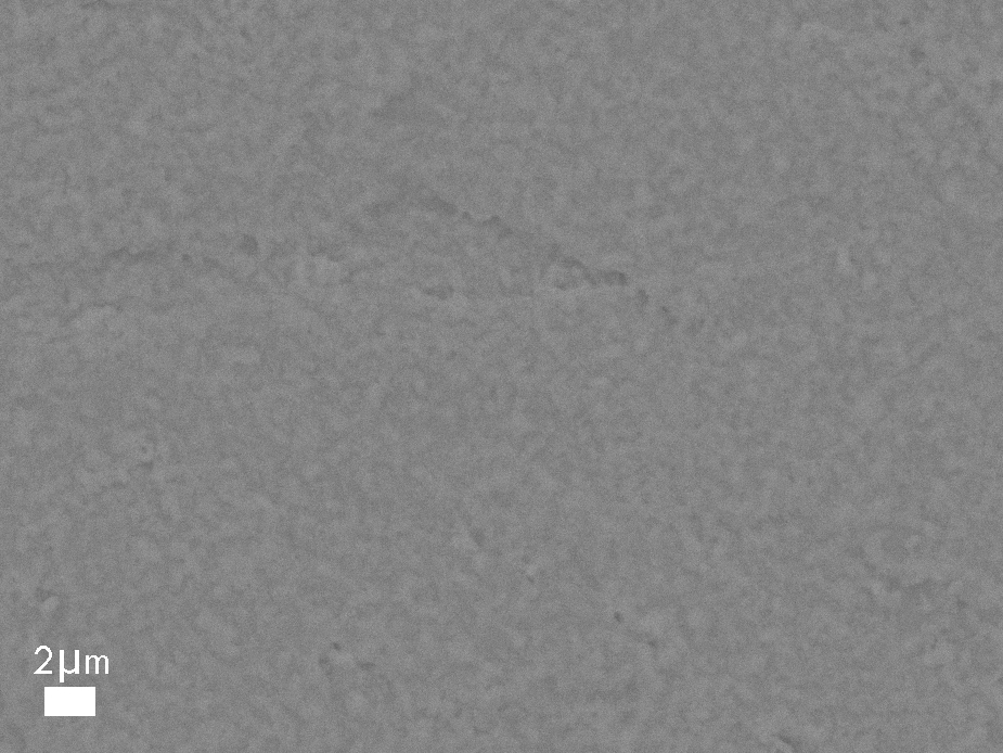 Cu-Sn film, BSD image