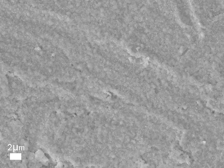 Cu-Sn film, SE2 image