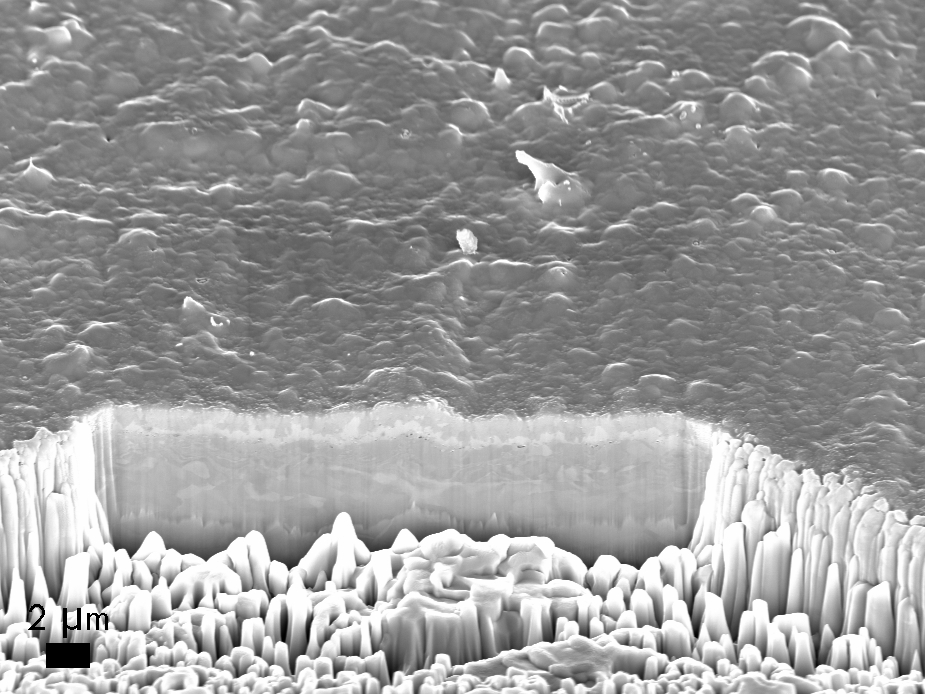 FIB cross section