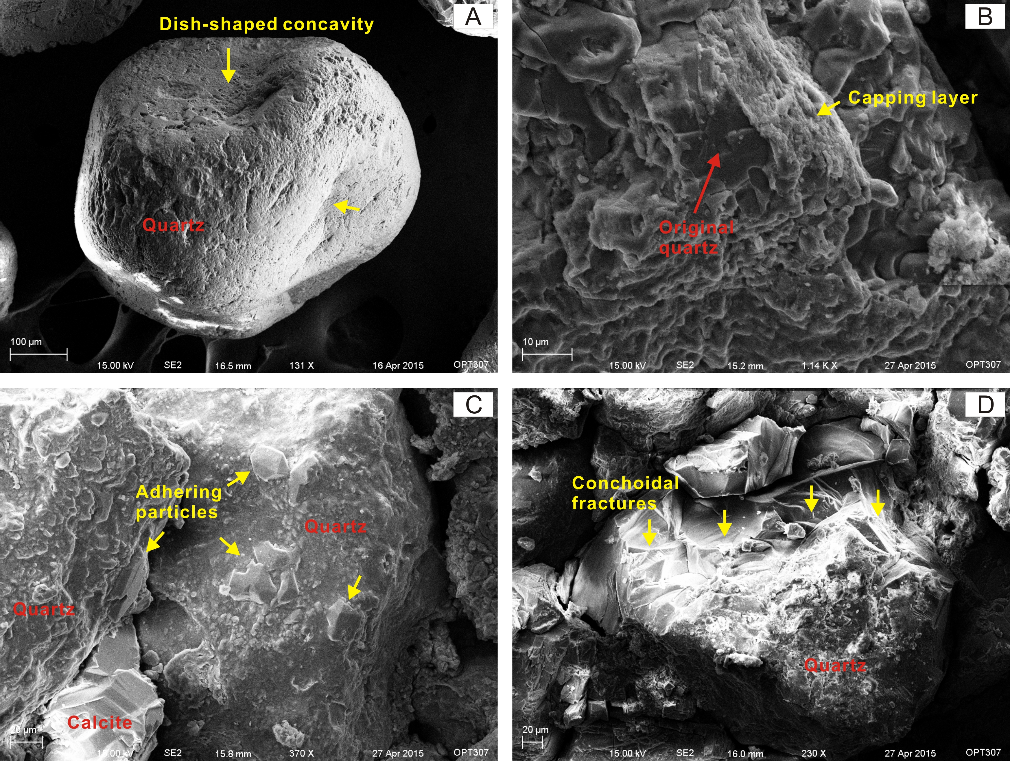 Figure 3. Characteristic/index surface morphologies observed under SEM