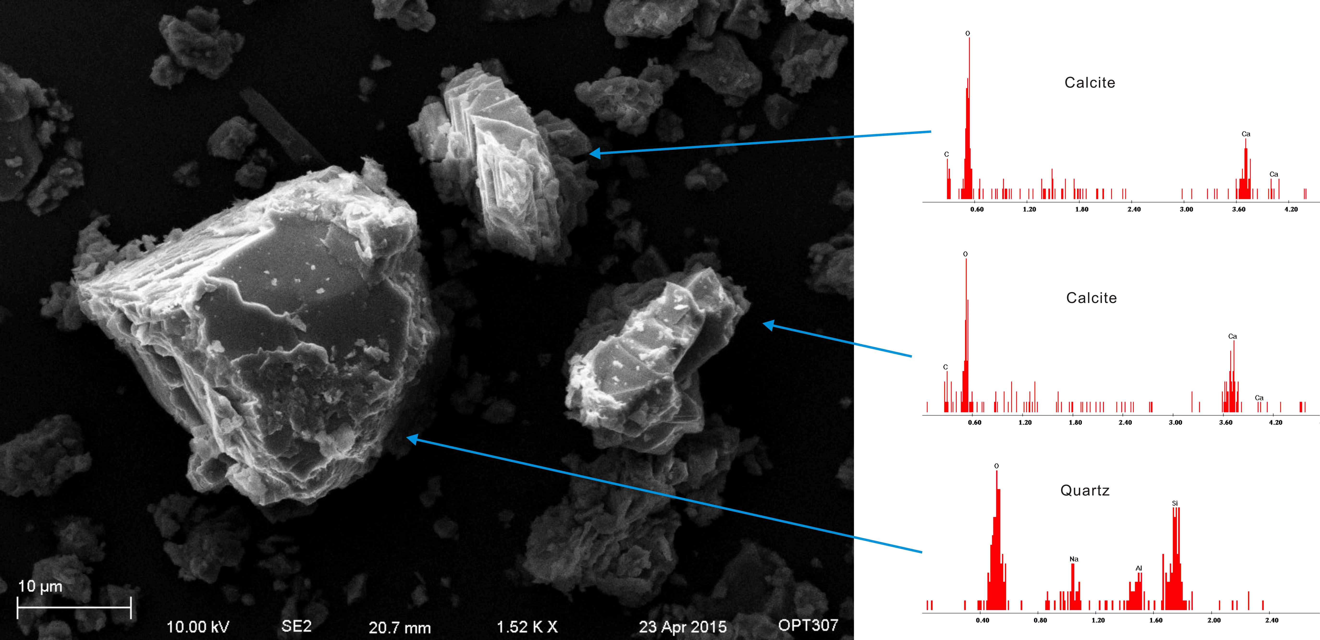 Figure 1. X-Ray microanalysis