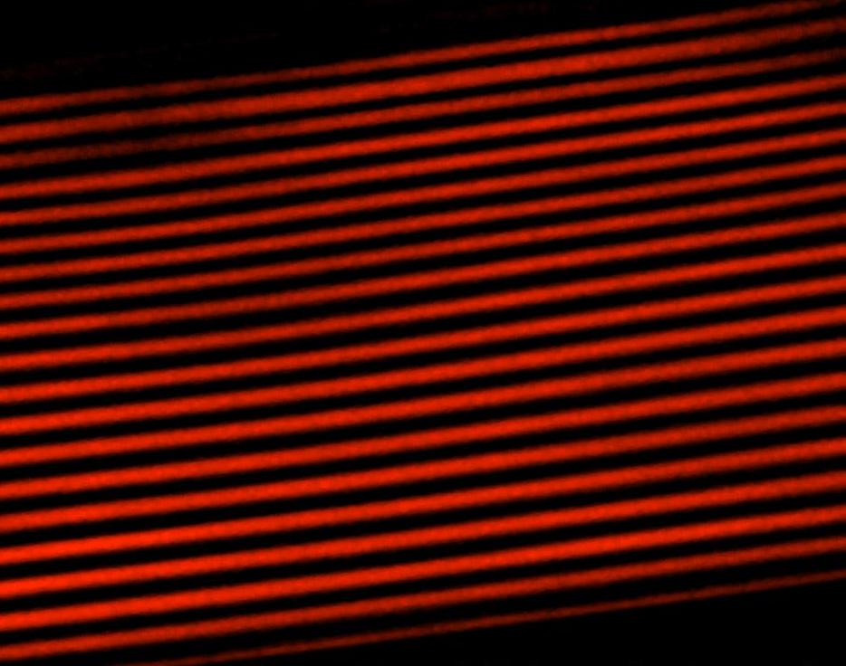 inlens processed+colorized