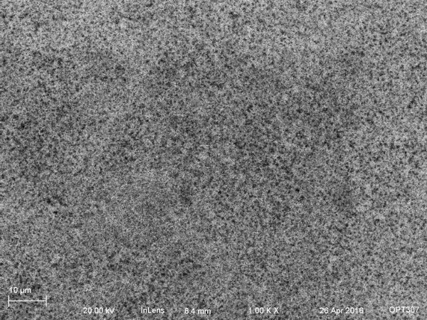 floppy disk, 1kX SEM pic