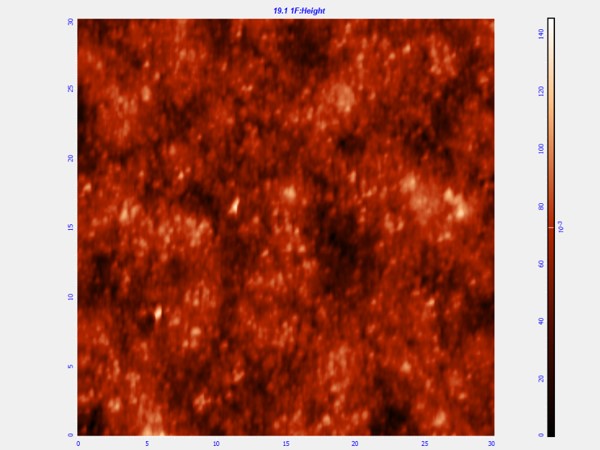 floppy disk, 30um 2D AFM
