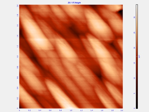 floppy disk, 2um 2D AFM