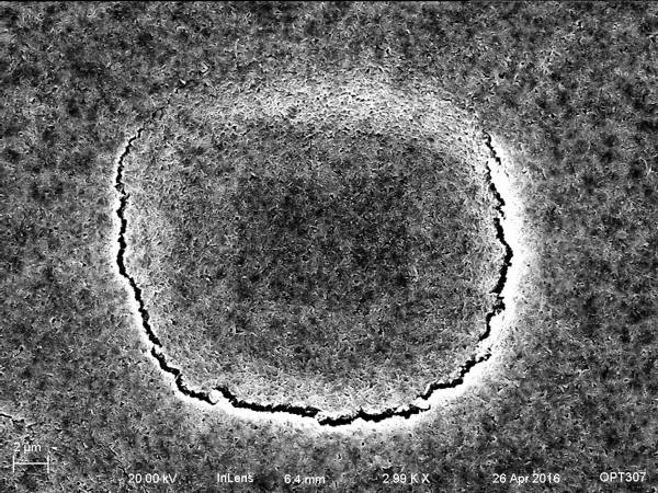 floppy disk, beam damage resulting from EDX mapping scans