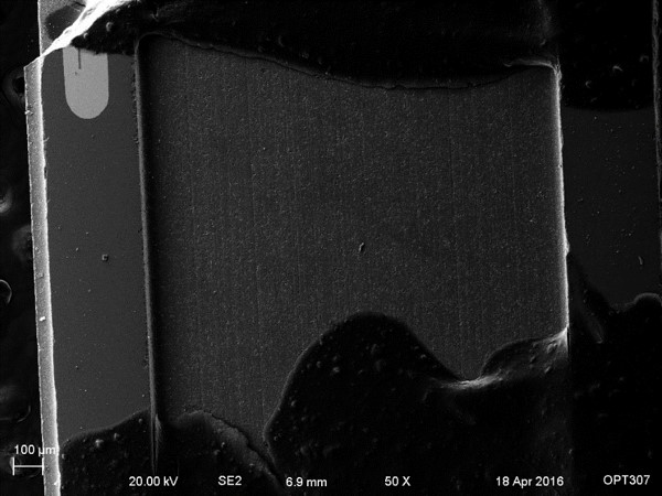 read-write head, entire sem image