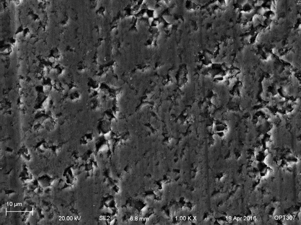 read-write head, magnetic coating sem image