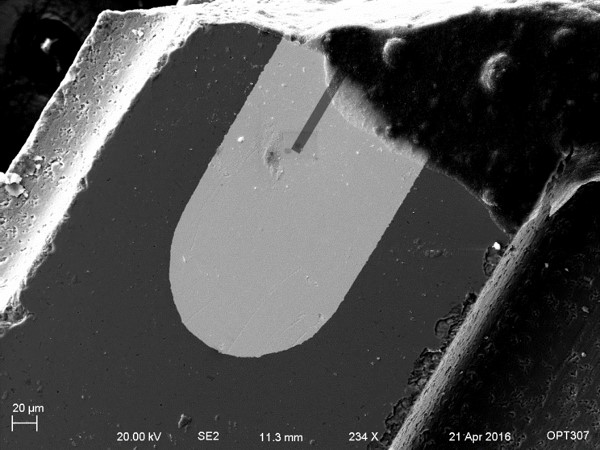 read-write head, contact sem image