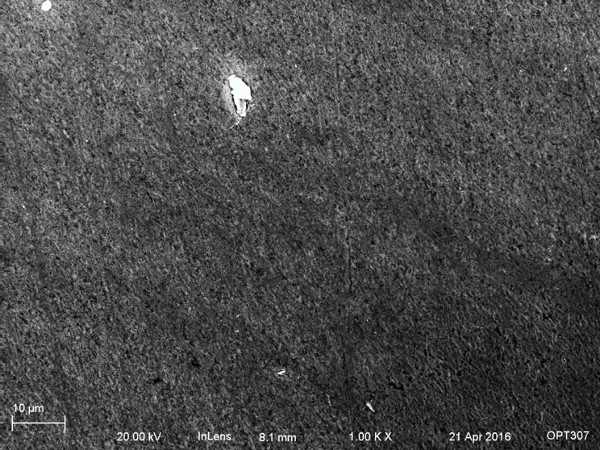 post-etched meteorite, 1kX SEM pic