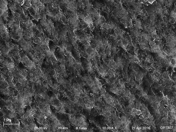 post-etched meteorite, 10kX SEM pic